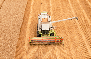 收——加大收割自动化力度，利用智能收获系统，保种保收，提产提质