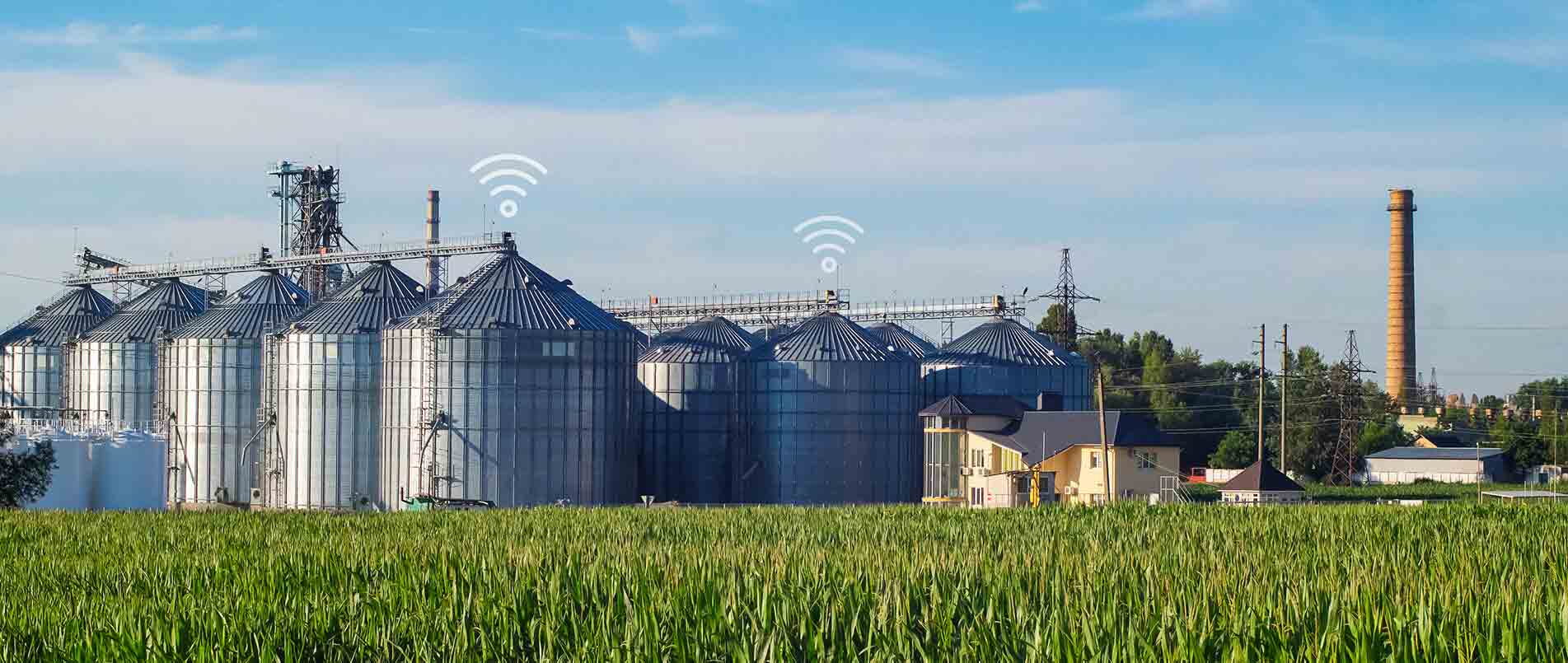 pp模拟器电子游戏助力夏粮存储新招式，科技手段更有效