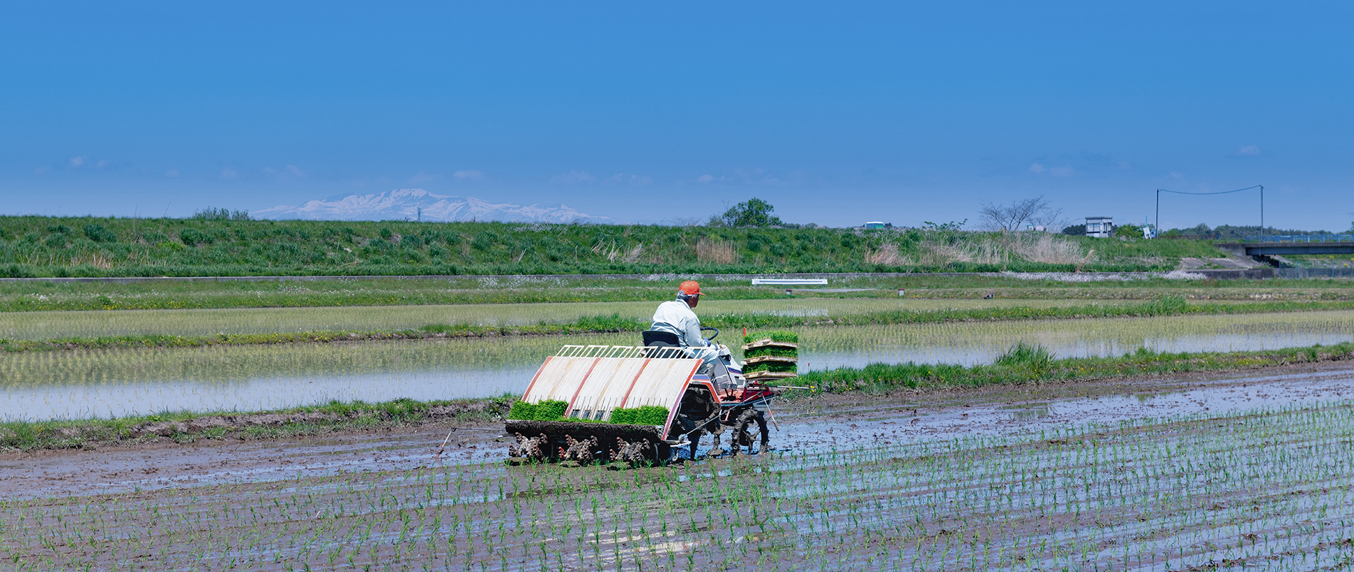 农机水田作业的“智慧大脑”——沃地泰FMA210，告别“经验种植”，开启精准高效农业之旅
